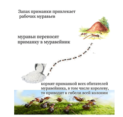Средство от муравьев - Абсолют супер 5 г