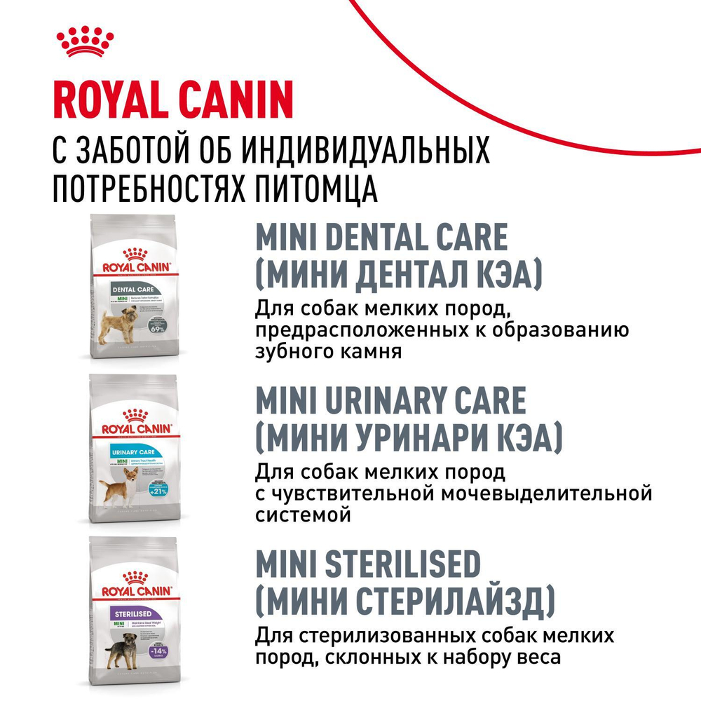 Royal Canin Mini Digestive Care Корм сухой для взрослых собак мелких размеров 3кг