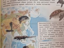 Животные. Мой первый атлас с наклейками