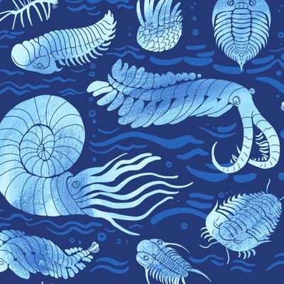 Трилобиты, аммониты, аномалокарис и прочие (3)