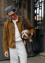 Сумка-переноска Пони коричневая