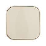 Переключатель 1-клавишный IP20 10А 250В слоновая кость Quteo Legrand