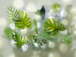 Коллекция GREENDAY 21