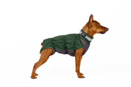 Жилетка Крокодил весна (МАЛЬЧИК)