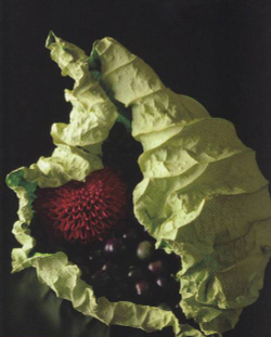Yuko Takagi. Contemporary Floral Art