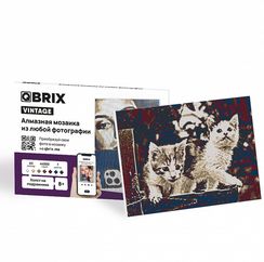 QBRIX Алмазная фото-мозаика на подрамнике VINTAGE А3