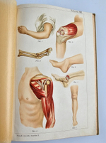 "Новый способ лечения. Лечение целебными силами природы."  М. Платен. 1906 г.