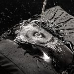 Tenba DNA Backpack 16 Black