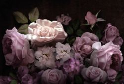 Коллекция Flower Dreams