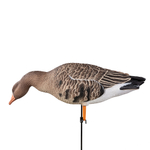 Белолобый гусь Duck Mania "ELITE ROBOT"