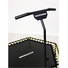 Батут для джампинга с рукояткой и счетчиком Romana 12.10.00 (розовый)