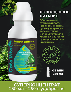 Полноценное питание