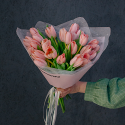 136. Крупные сортовые тюльпаны розовые персиковые