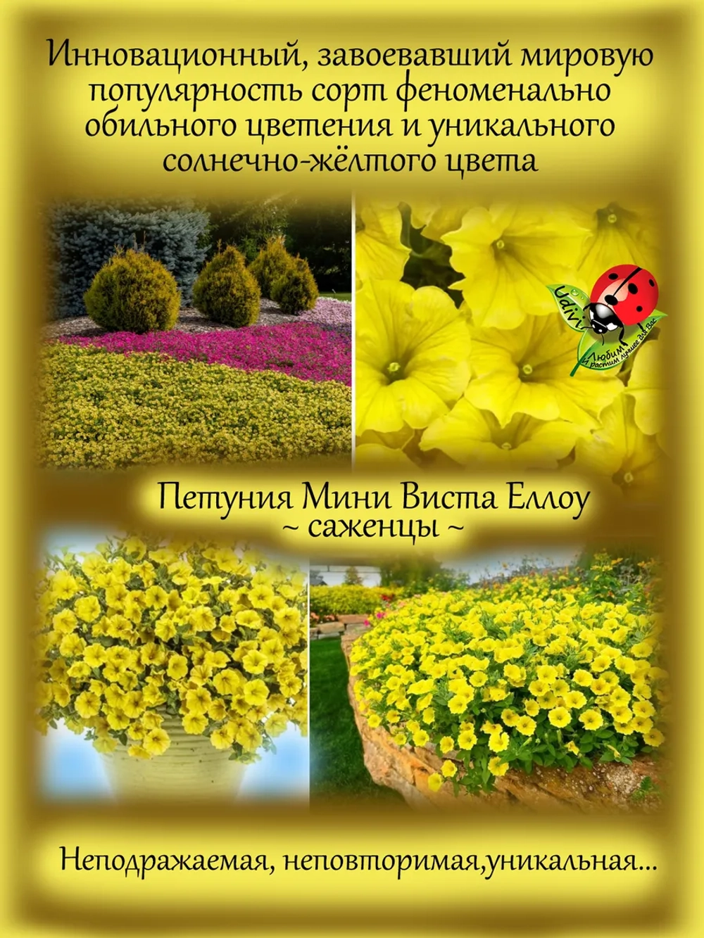 Петуния Супертуния Мини Виста Еллоу