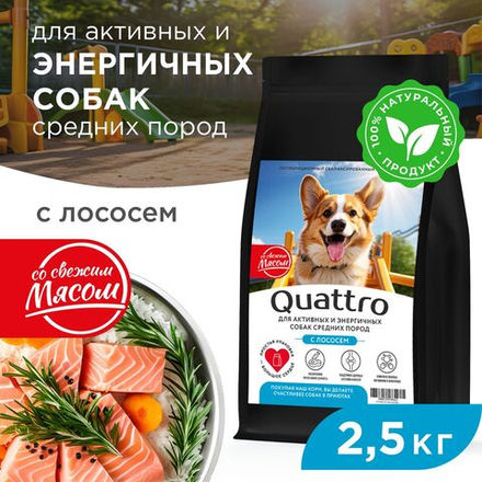 Корм сухой для взрослых собак средних пород, премиум полнорационный комплекс, для активных и энергичных, с лососем, 2,5 кг, QUATTRO