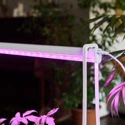 ULT-P56-10W-SPSB IP20 MARBLE ECONOM Набор Минисад. светильник для растений светодиодный с подставкой. Спектр для рассады и цветения. 6 кашпо в-к. мраморные. TM Uniel