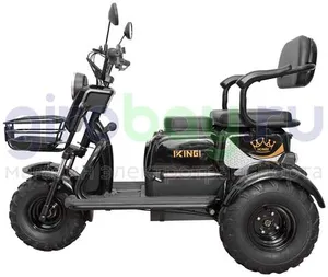 Электротрицикл IKINGI SIBTRIKE T3 Pro MAX 1000W (60V/30Ah) - Чёрный фото №6