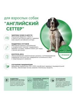 Корм собак породы Английский сеттер, ягненок, 12кг