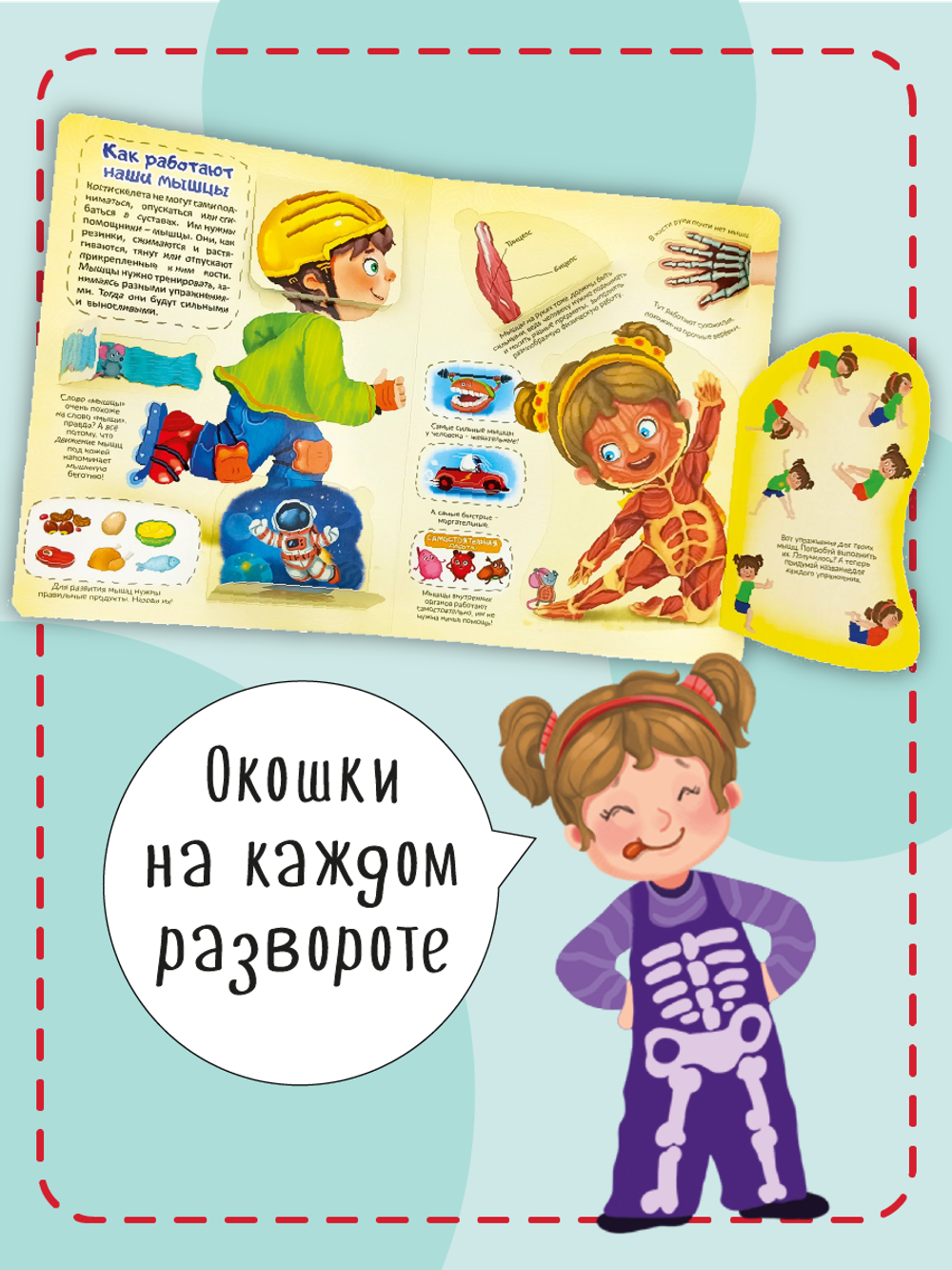Книжка с окошками МОЯ ПЕРВАЯ АНАТОМИЯ