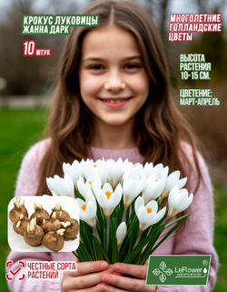 Крокус Луковица, Жанна Дарк, 10шт
