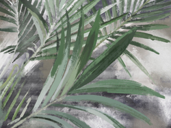 Коллекция ALIVE