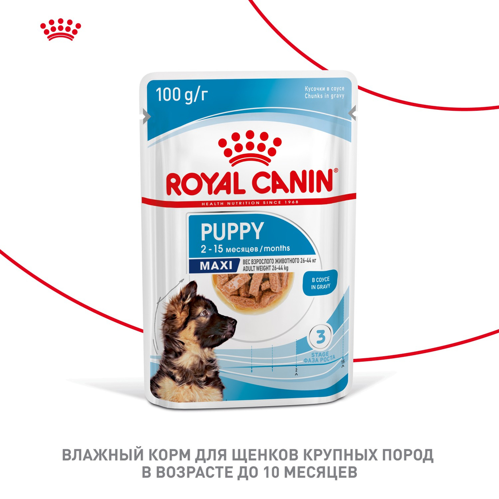 Royal Canin Maxi Puppy Влажный корм для щенков крупных пород в возрасте до 15 месяцев 100г