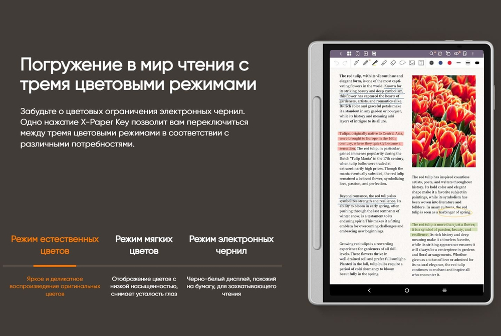 Графический планшет XP-PEN Magic Note Pad черный