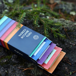 Набор маленьких плиток «5 вкусов Севера».