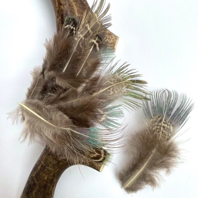 Перья фазана с сине-зеленой кисточкой 6-8 см. 10 шт.