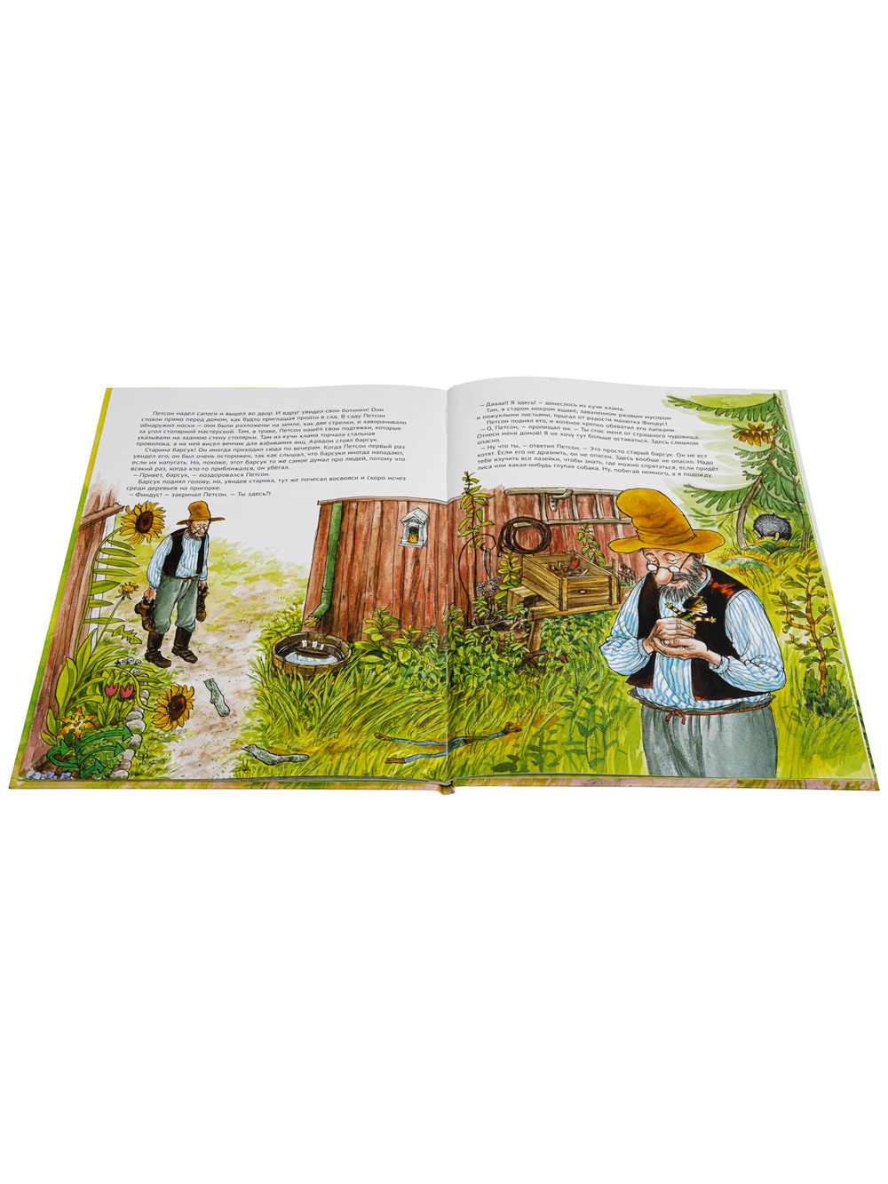 История о том, как Финдус потерялся, когда был маленьким (новый ISBN)