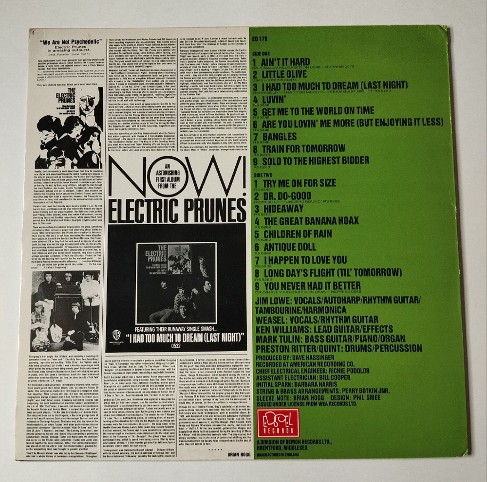 Винтажная виниловая пластинка LP The Electric Prunes Long Day's Flight (UK 1986)