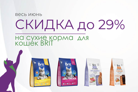 BRIT сухой корм для взрослых кошек — скидки до 29% в июне 2025 года!