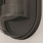 Настенный светильник (бра) Outdoor O449WL-01GF