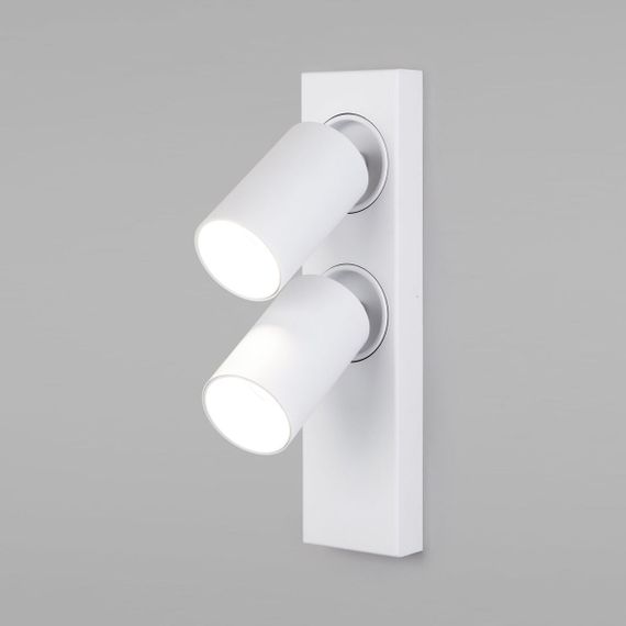 Светодиодный спот Eurosvet Flank 20139/2 Led белый