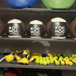 Набивной мяч PVS