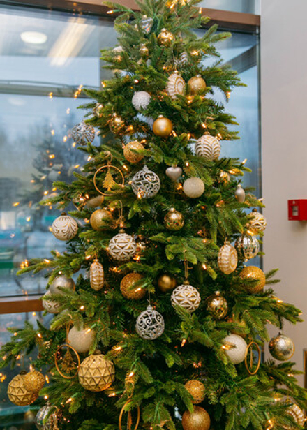 Новогодняя ель «Торжество»