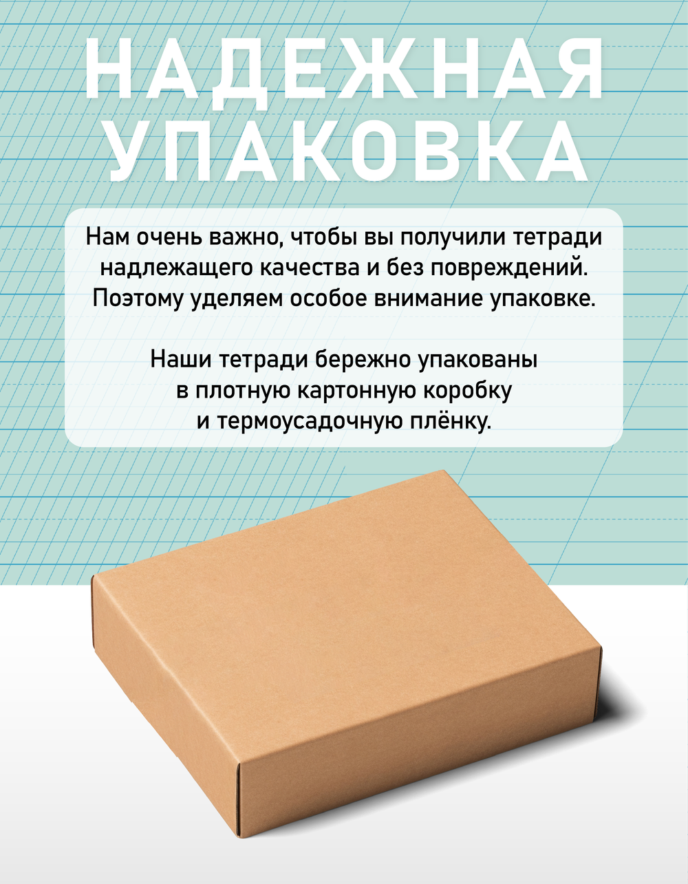 Набор тетрадей "Пишу грамотно и красиво", 12 л, 10 шт