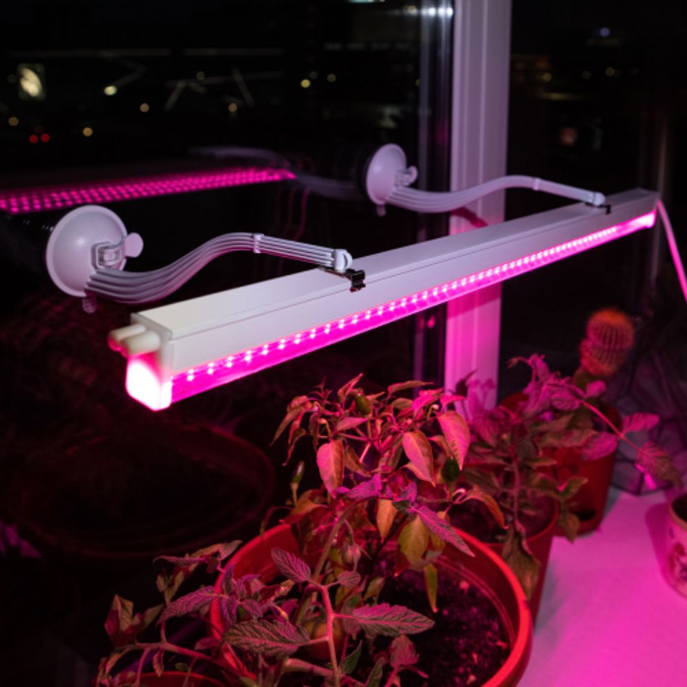 Светильник для растений, фитолампа светодиодная линейная ЭРА FITO-18W-PL-LINE 573-GR красно-синего спектра 18 Вт Т5
