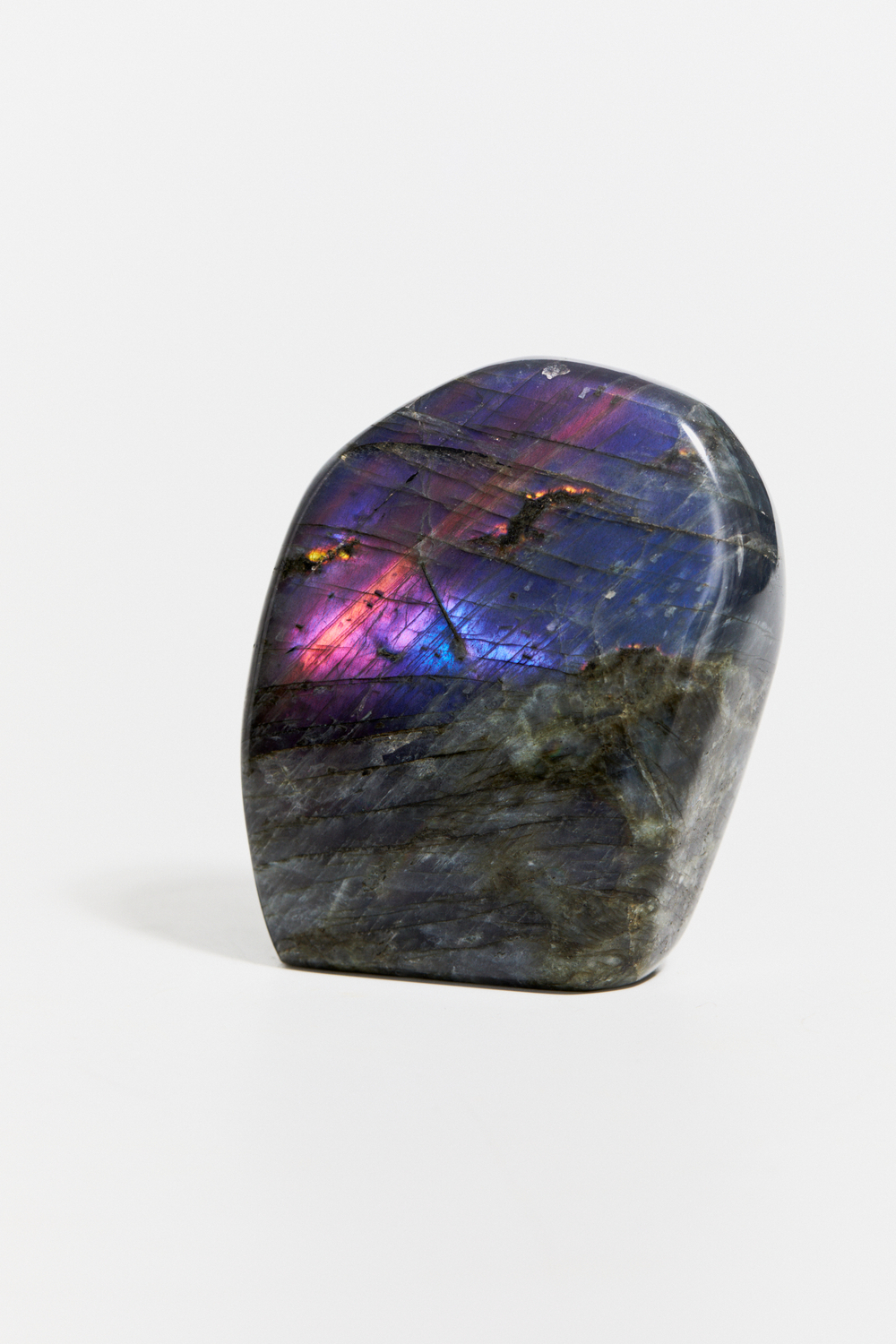 Срез Лабрадора M