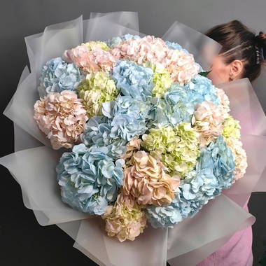 Букет из 25 гортензий