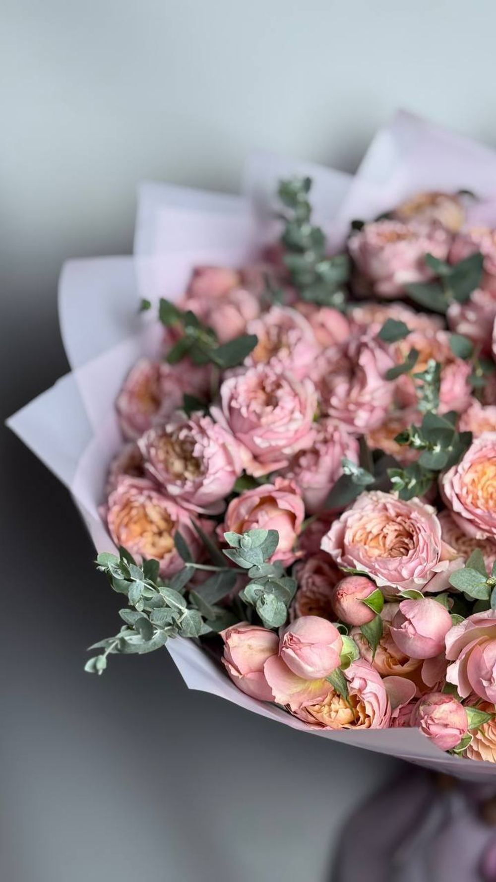 Мармеладные истории