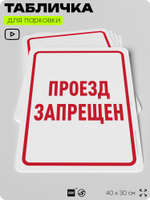 Табличка для парковки "Проезд запрещен", для дома, офиса, организаций, 40х30 см, Silver Plane x Айдентика Технолоджи