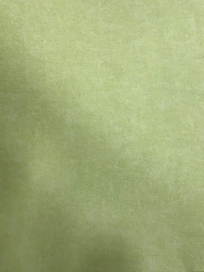 Обои IDECO винил вспененый на флизе 1,06х10 Fiesta uni зеленый