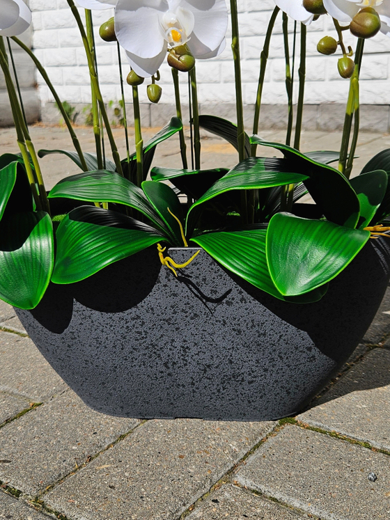 Искусственные Орхидеи белые 7 веток 50см в кашпо Лофт