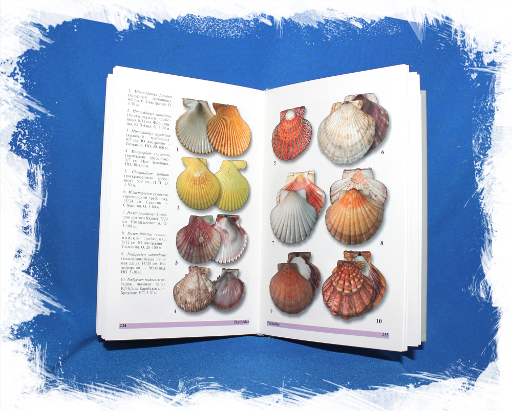 Определитель Гребешки