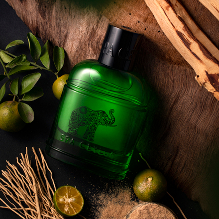 Парфюмированная вода "ШЁПОТ ЛЕСА" (100мл)