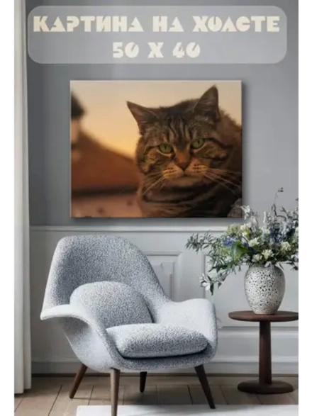 Картина на стену 40 X 50 Кот