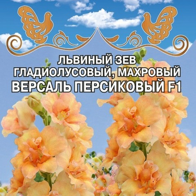 Львиный зев гладиолусовый, махровый  Версаль Персиковый F1
