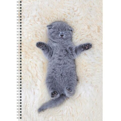 Тетрадь А4 60л линия "Котенок" (Эксмо)