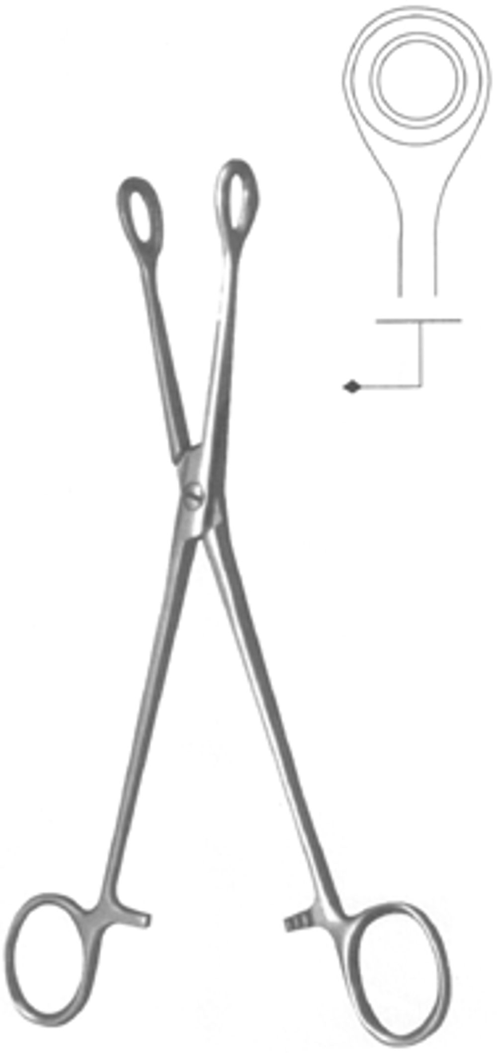 ВР- Щ-55 Щипцы гемморроидальные окончатые прямые